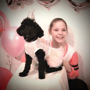 Meet your Posher, Dawn